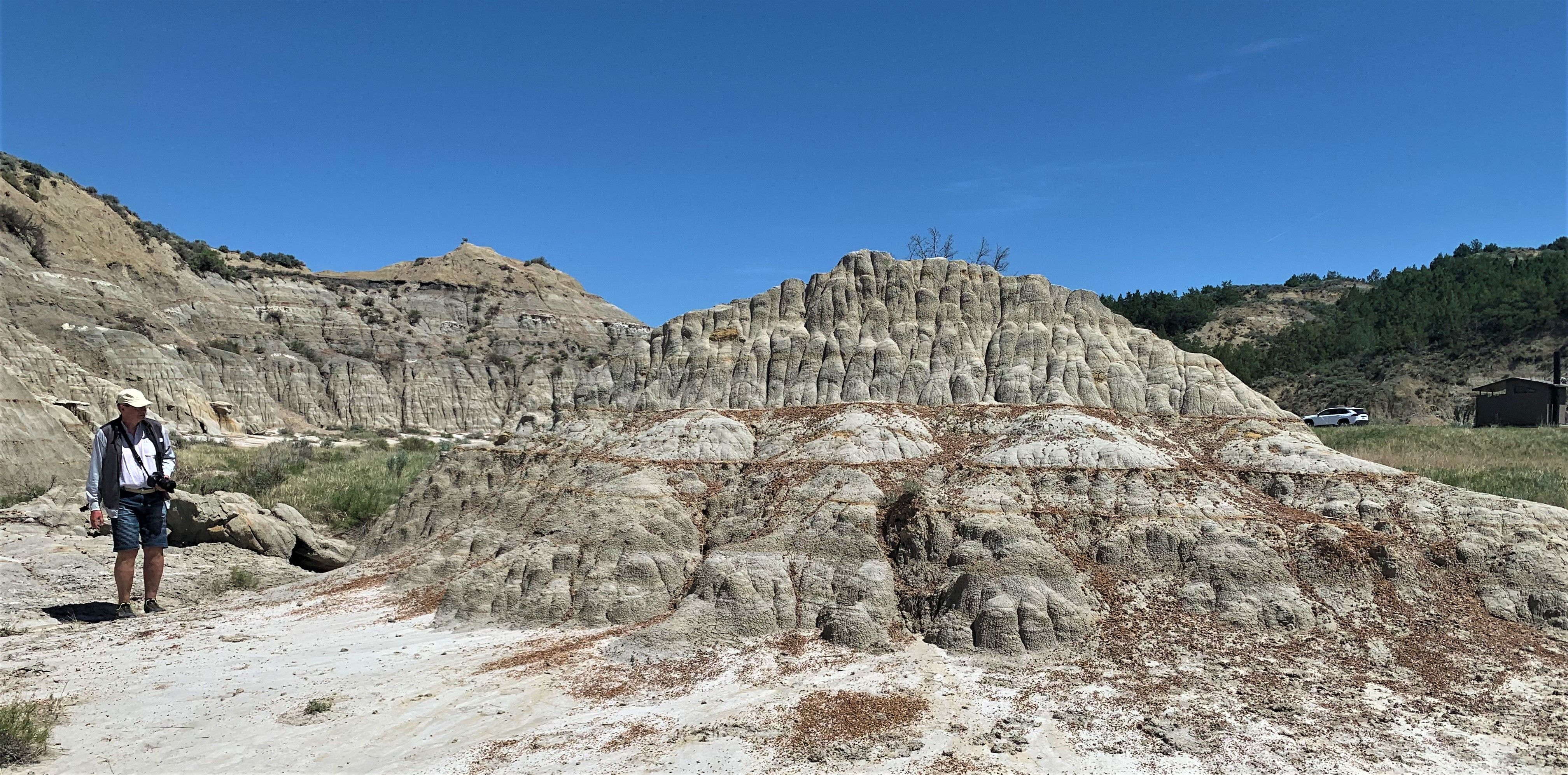 Theodore Roosevelt NP